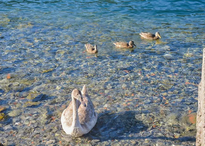 Lägenhet Bellagio *